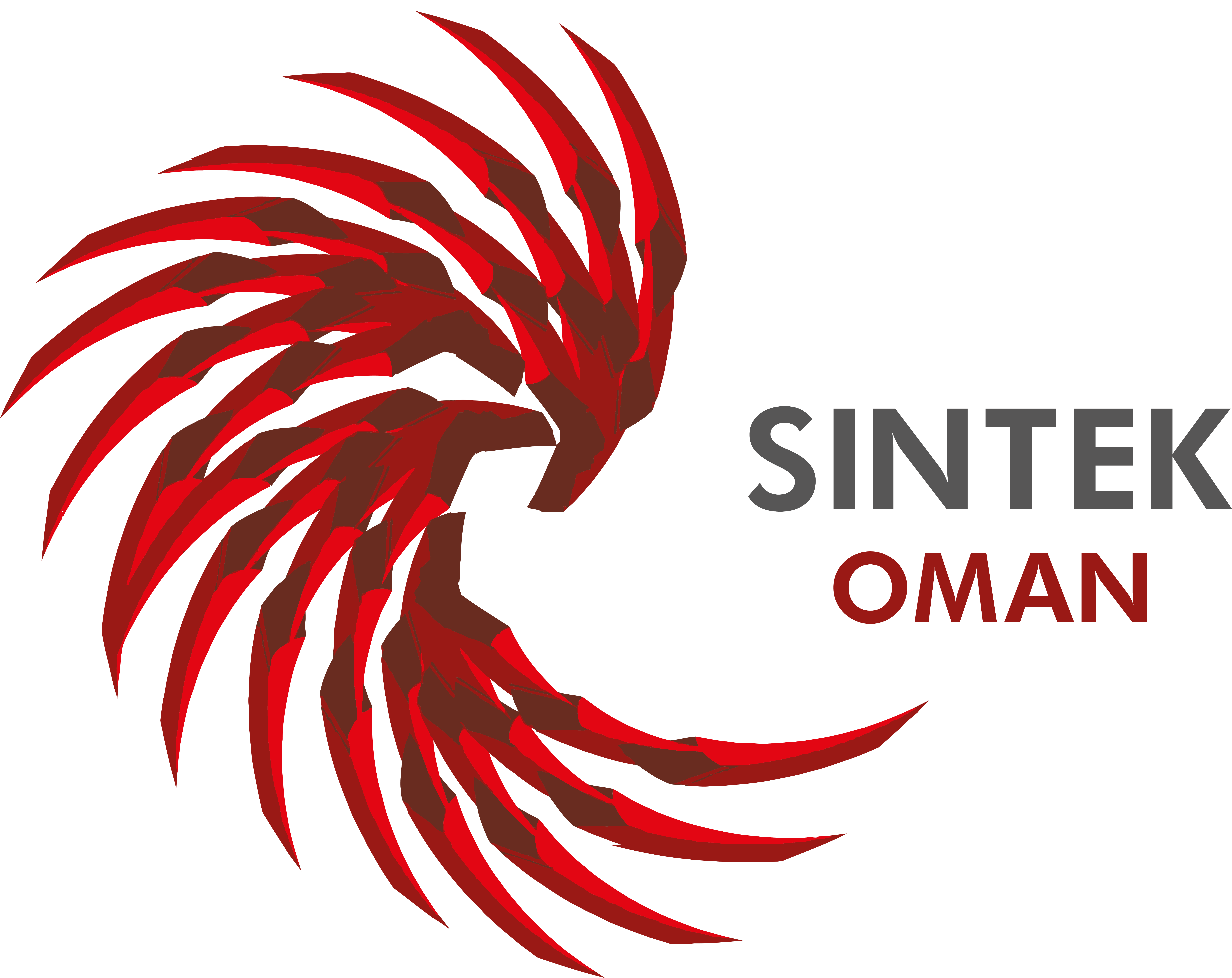SİNTEK fotoğraf 2